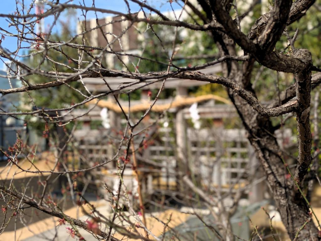  銀座、「天空神社」のひととき