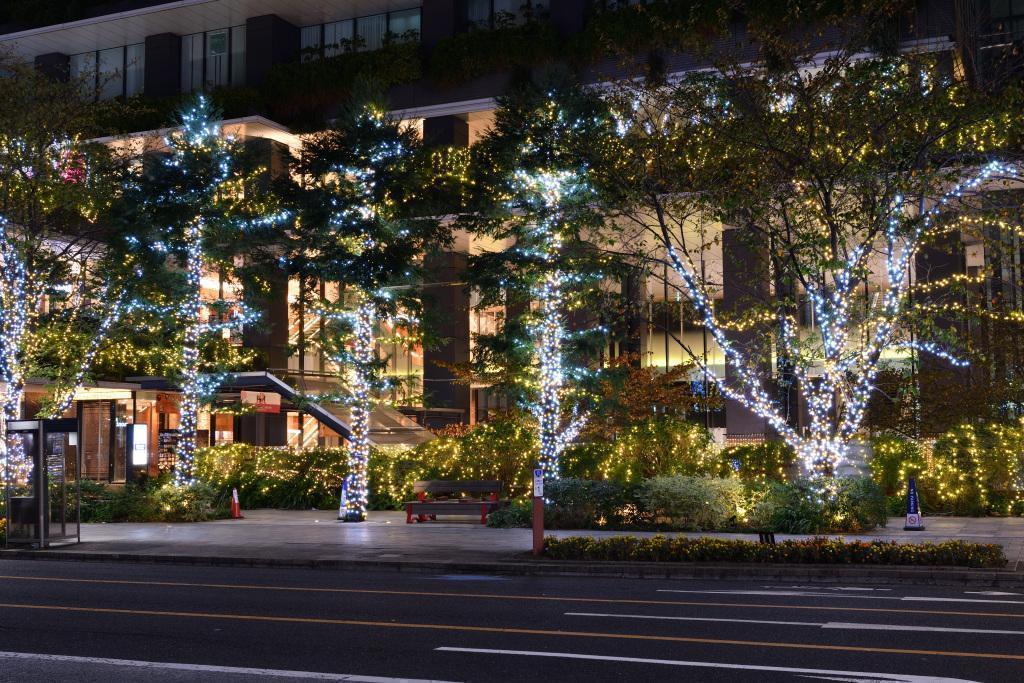  Introducing Beautiful Night Views in Chuo Ward