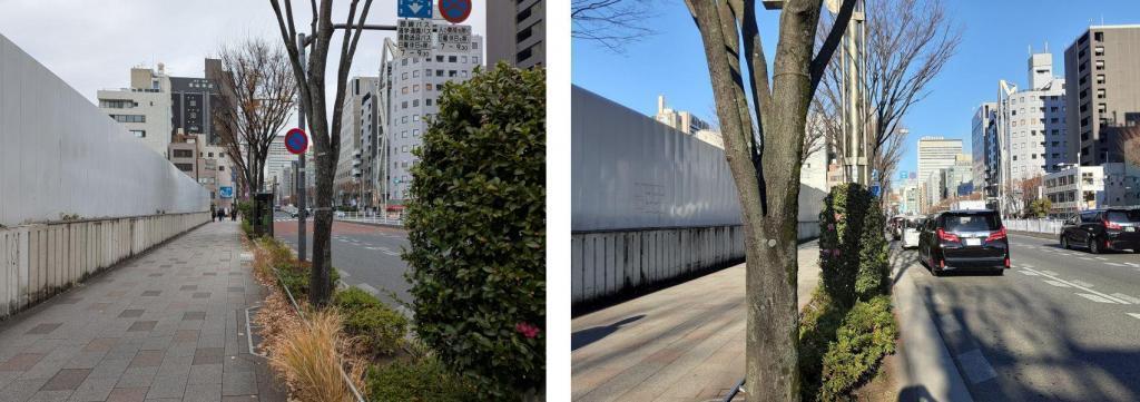  毎年のことですが今年はチョット違う