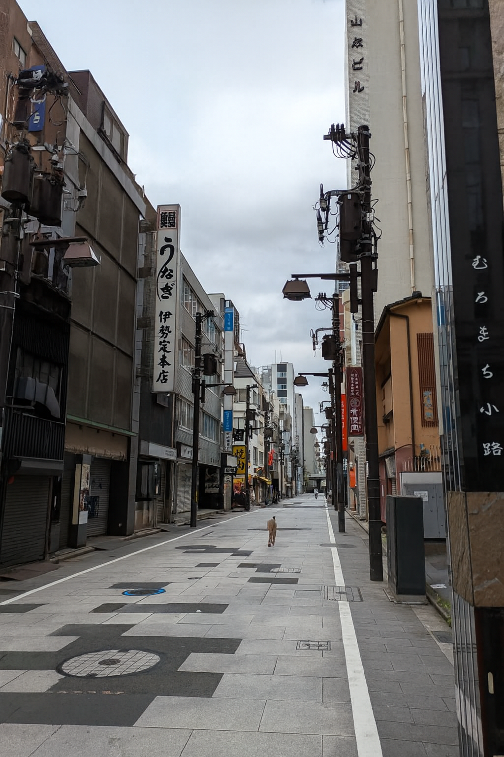  進む日本橋再開発！！