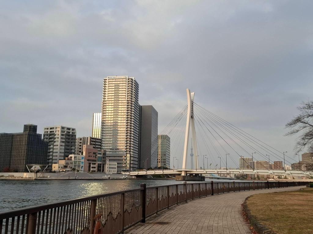  視点が面白い！初来日の友人による東京&中央区レビュー