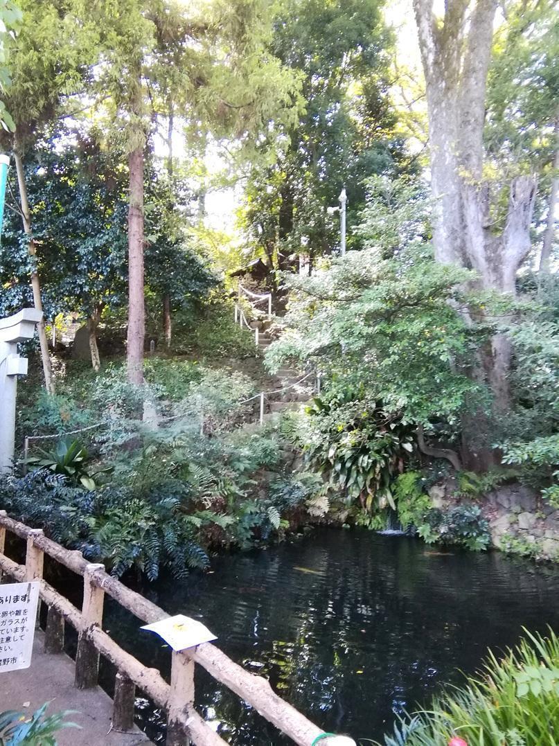 杵築大社の富士塚 富士塚と鷹狩り場
　　～　鐵砲洲稲荷神社・浜離宮恩賜庭園・杵築大社（武蔵野市）　～