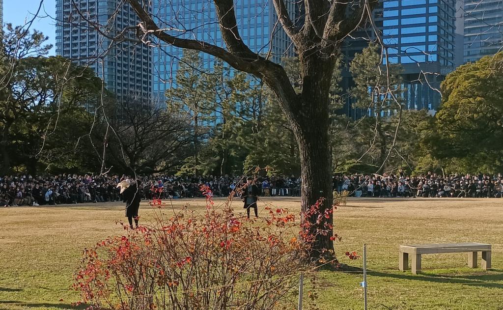 『4点振替・振替』は近い距離で鷹匠から鷹匠へと鷹を飛び移らせる。
『渡り』は樹上にいる鷹を鷹匠の拳に呼び戻す。 2026.1.3新春の浜離宮恩賜公園で
諏訪流放鷹術保存会による実演に感動！