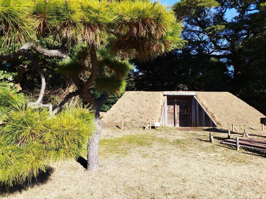  新春！新年の初めは都立庭園でお正月
「浜離宮で華やかなお正月」