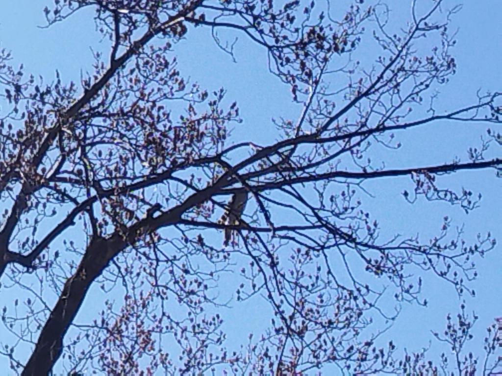  新春！新年の初めは都立庭園でお正月
「浜離宮で華やかなお正月」
