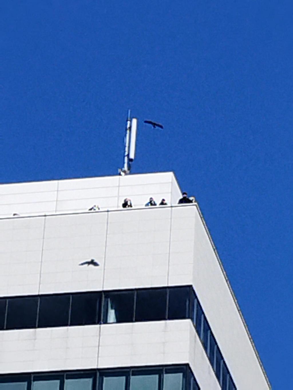  新春！新年の初めは都立庭園でお正月
「浜離宮で華やかなお正月」