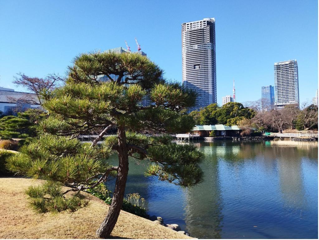  新春！新年の初めは都立庭園でお正月
「浜離宮で華やかなお正月」