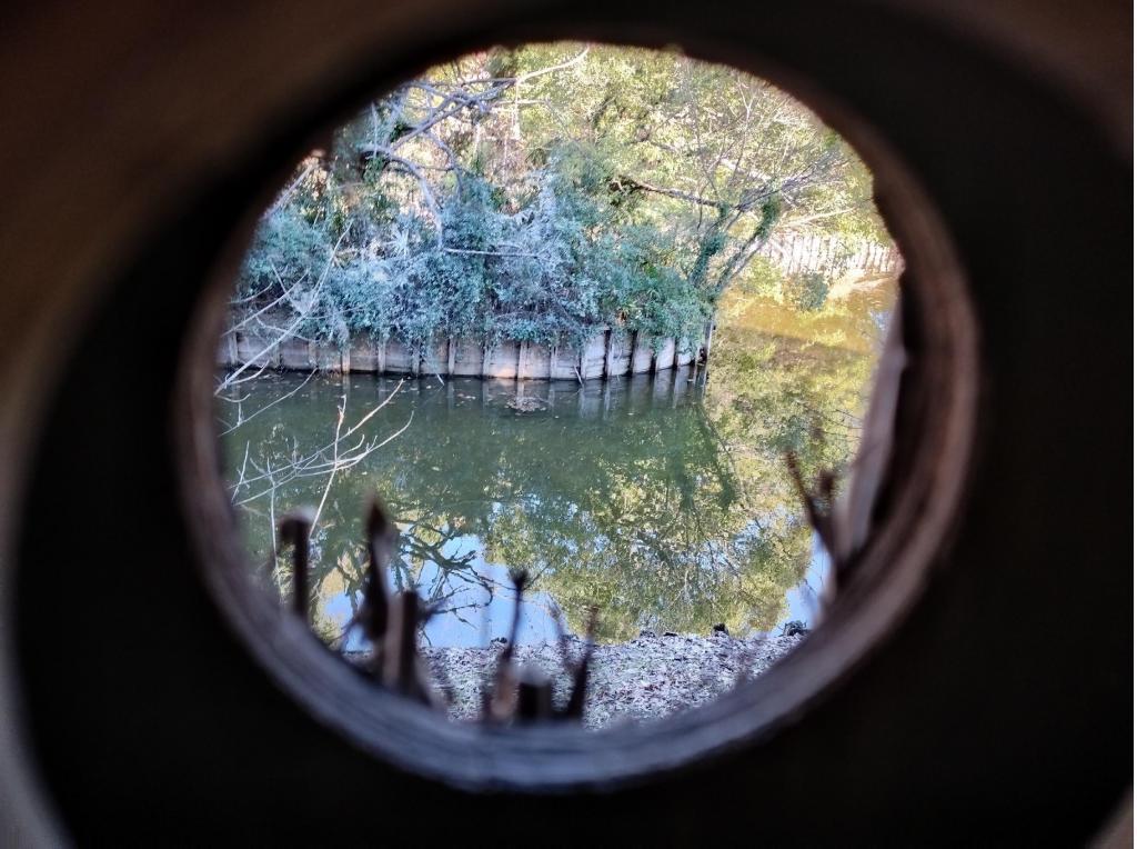  新春！新年の初めは都立庭園でお正月
「浜離宮で華やかなお正月」