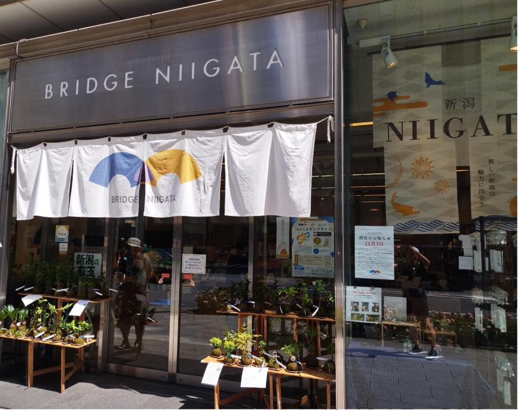  日本橋三越の向かいのエリア、「日本橋室町一丁目地区再開発」が本格スタート　
～　ミカドコーヒーと山本海苔店も移転しました