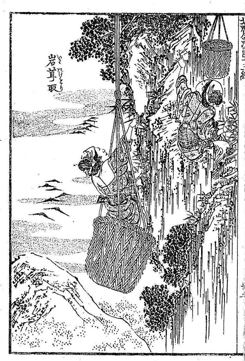  月も朧に白魚の