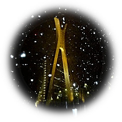  2026 今季最強の寒波到来 雪舞う極寒の一日