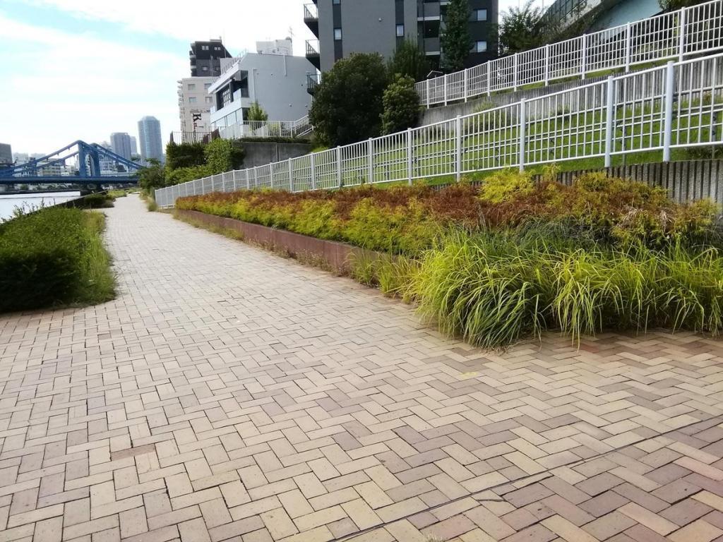  中洲公園と清洲橋
　　～　区境の風景　⑥　～