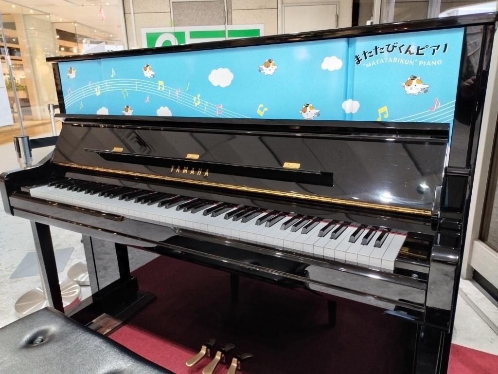 またたびくんピアノ 3月1日は、東京シティエアターミナルのマスコットキャラクターの誕生日です。3月7日（土）に、バースデーイベントが開催されます！