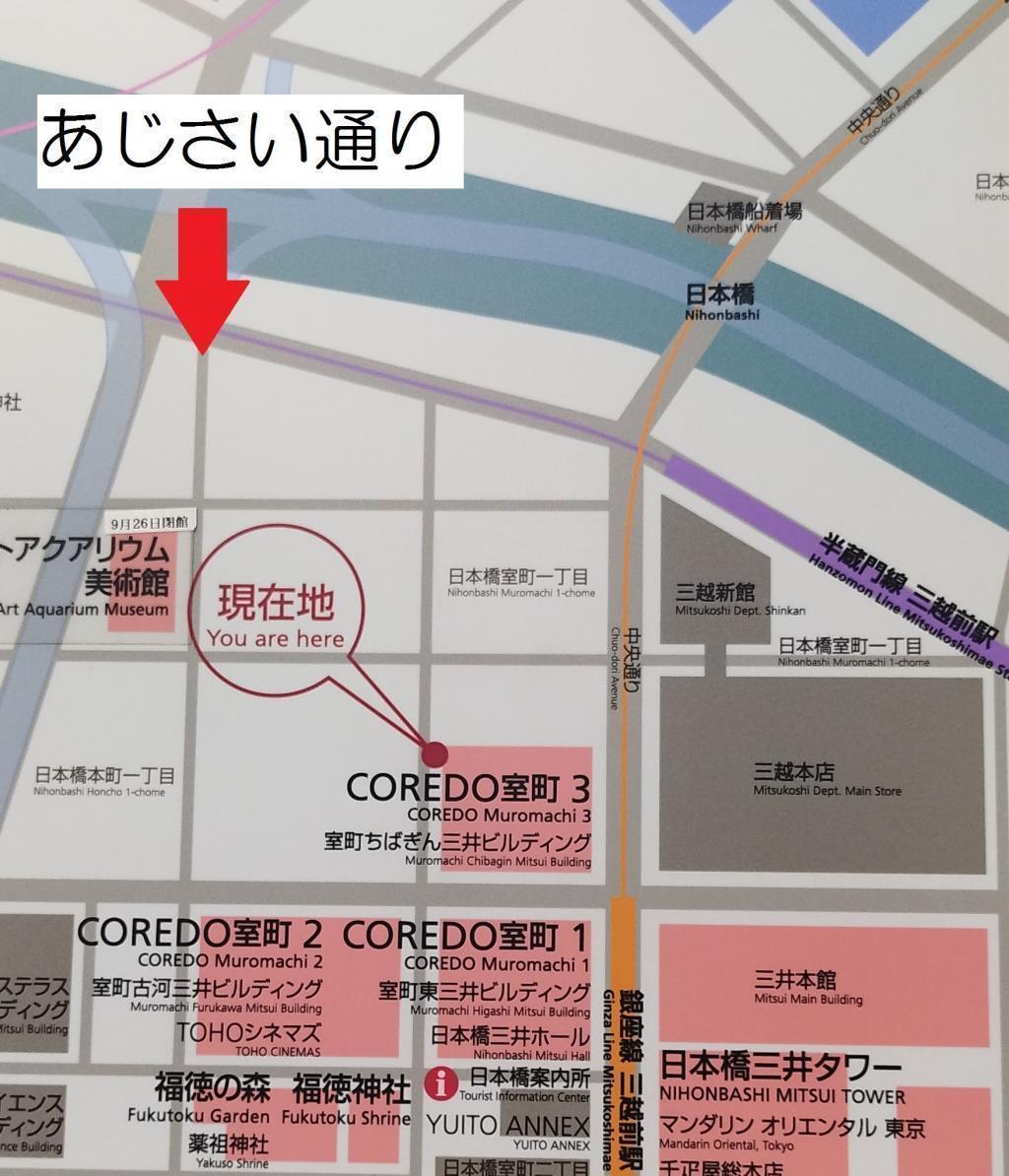 日本橋本町・室町「あじさい通り」のオカメザクラ 日本橋・あじさい通りの「オカメザクラ」開花宣言！