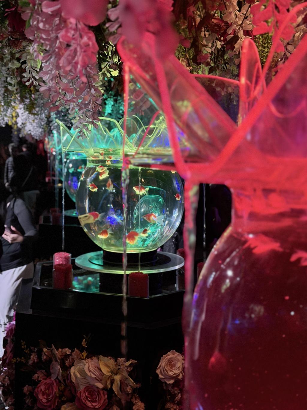  アートアクアリウム美術館 GINZAは
只今「ニャーとアクアリウム」に⁉️
銀座三越新館９階で2/25まで