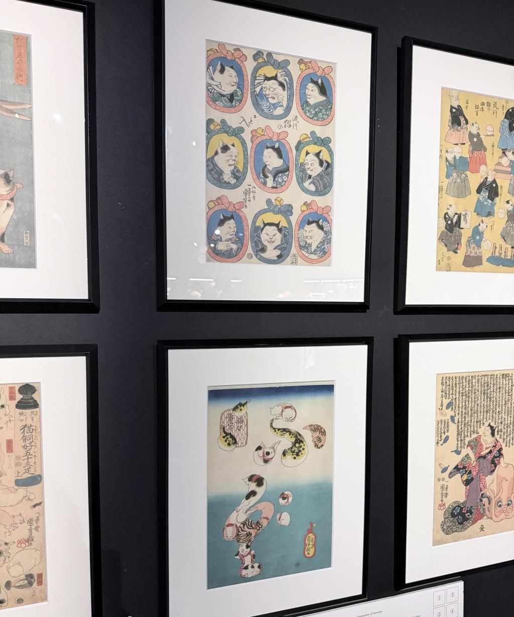  アートアクアリウム美術館 GINZAは
只今「ニャーとアクアリウム」に⁉️
銀座三越新館９階で2/25まで