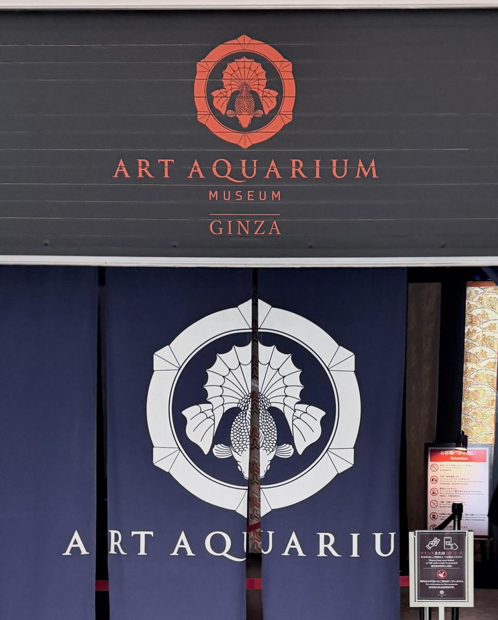  アートアクアリウム美術館 GINZAは
只今「ニャーとアクアリウム」に⁉️
銀座三越新館９階で2/25まで