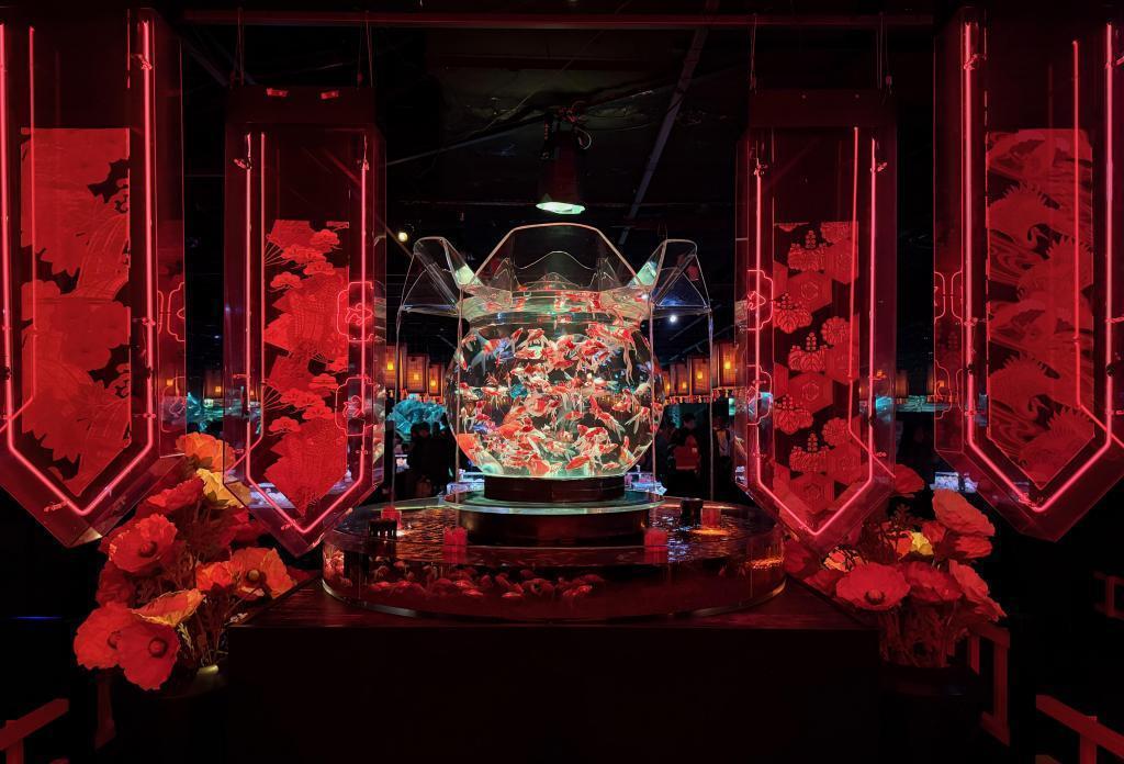 暗闇に浮かぶ幻想的な光・花・金魚
これは写真撮りたくなる！ アートアクアリウム美術館 GINZAは
只今「ニャーとアクアリウム」に⁉️
銀座三越新館９階で2/25まで