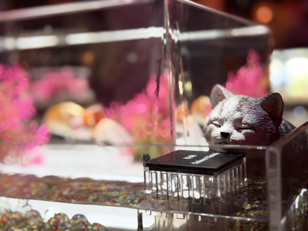  アートアクアリウム美術館 GINZAは
只今「ニャーとアクアリウム」に⁉️
銀座三越新館９階で2/25まで