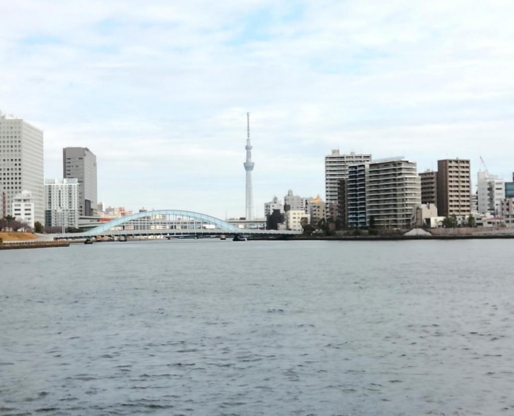 さて、本題です
東京タワーと東京スカイツリーは・・・ 東京タワーと東京スカイツリーを求めて
　隅田川９橋を遡上します　④
　　～　中央大橋　～