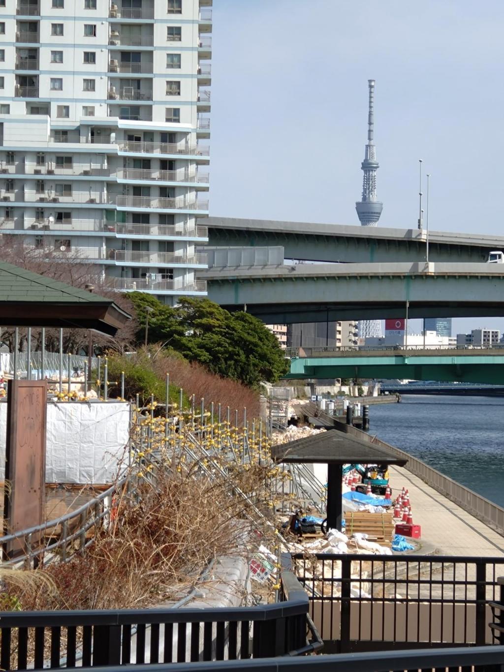  箱崎地区、隅田川河岸の工事