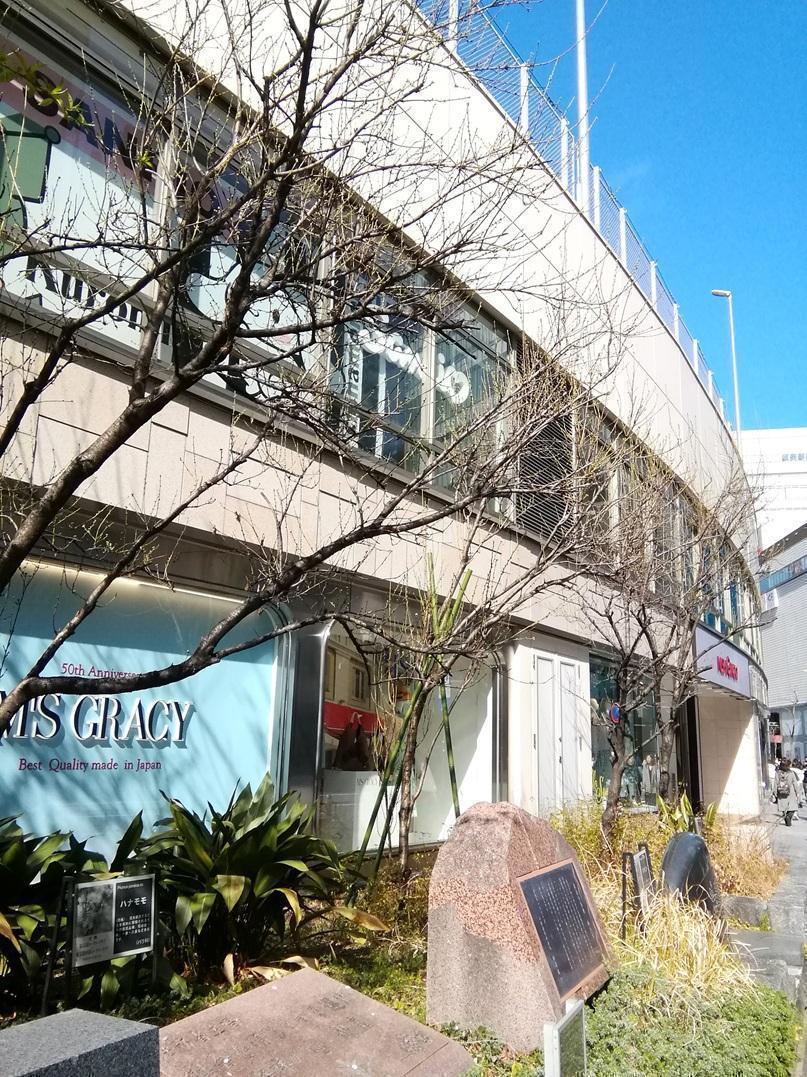  ３月７日時点の桜・花情報　後編
　　～　数寄屋橋公園　～