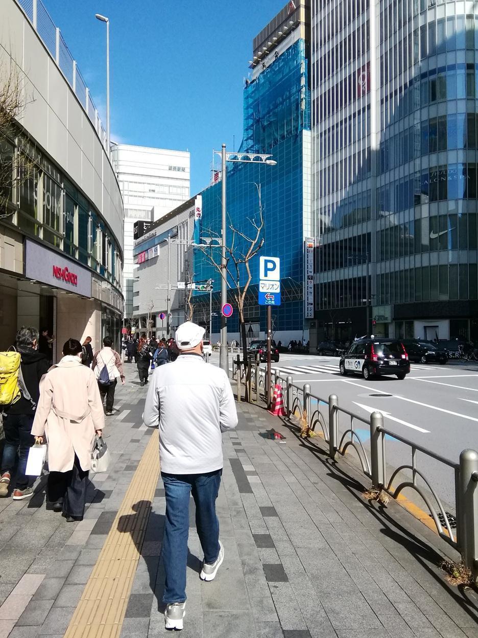  ３月７日時点の桜・花情報　後編
　　～　数寄屋橋公園　～