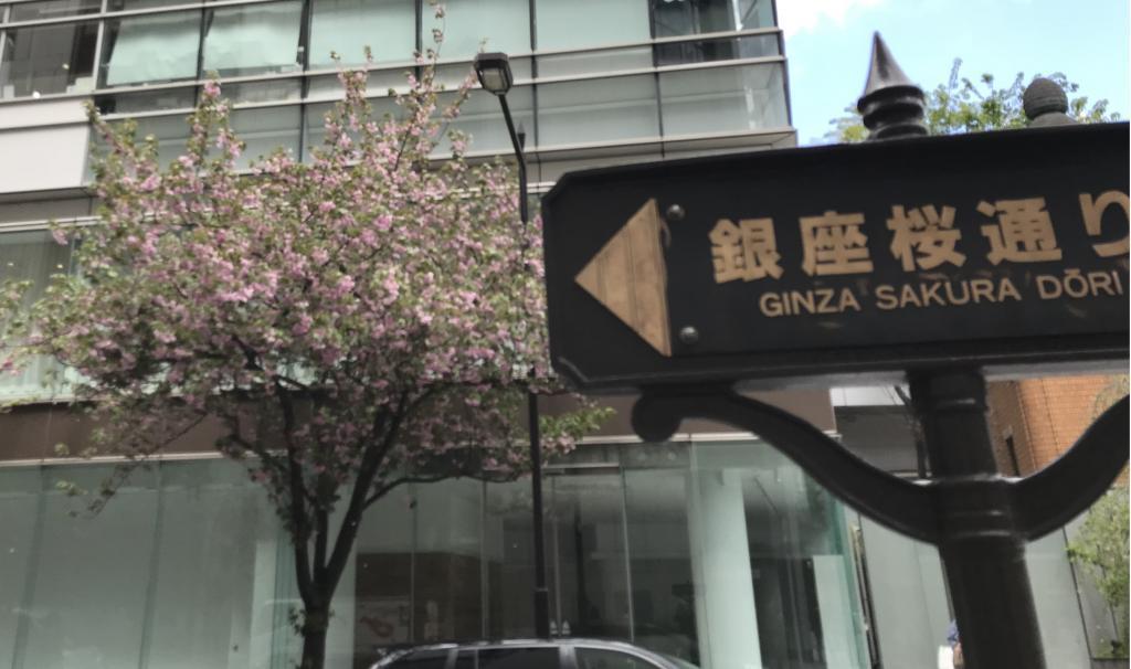  【2026年最新版　中央区の桜情報】 今週末（3/28, 3/29）が桜の見頃です。　
「桜の見所」の最新の景色＆情報と「おすすめお花見コース」をご紹介します！