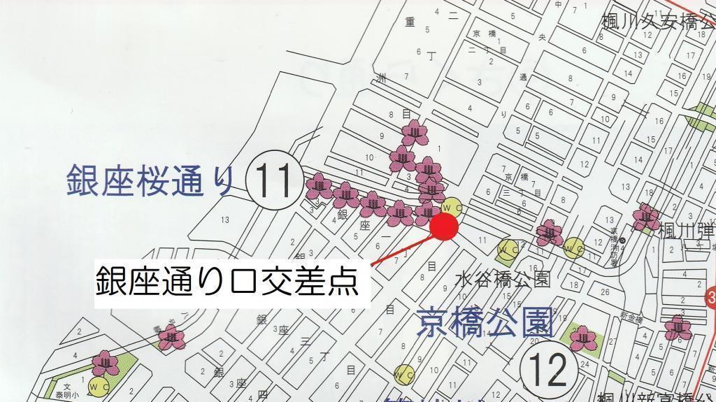  【2026年最新版　中央区の桜情報】 今週末（3/28, 3/29）が桜の見頃です。　
「桜の見所」の最新の景色＆情報と「おすすめお花見コース」をご紹介します！