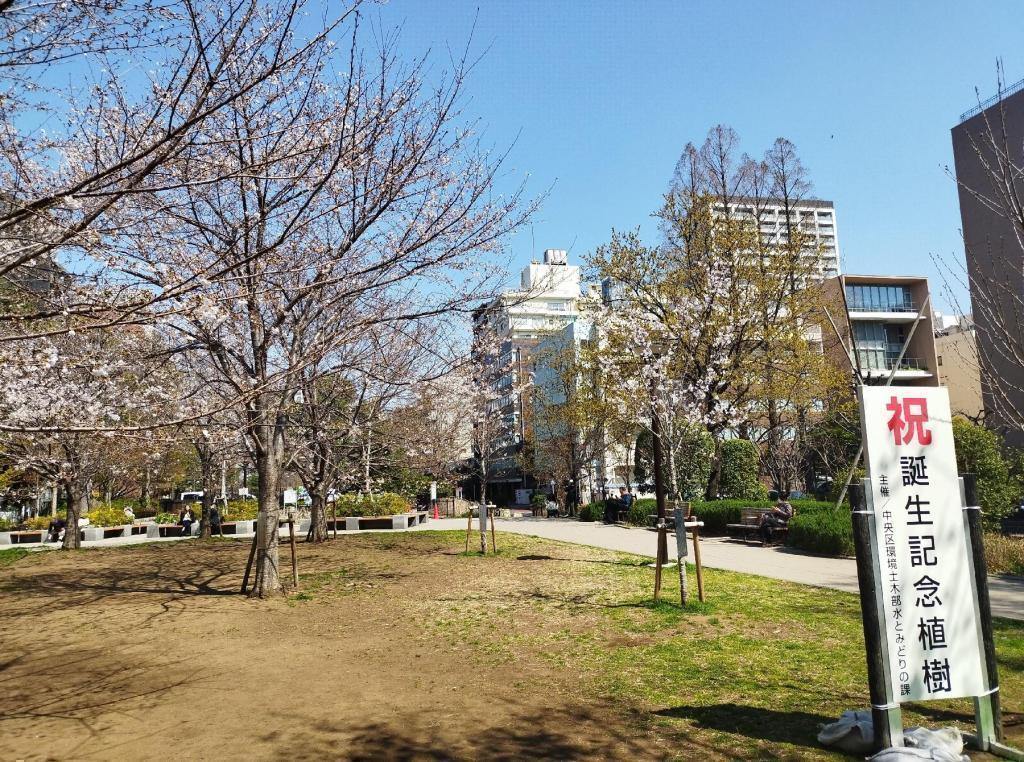  【2026年最新版　中央区の桜情報】 今週末（3/28, 3/29）が桜の見頃です。　
「桜の見所」の最新の景色＆情報と「おすすめお花見コース」をご紹介します！