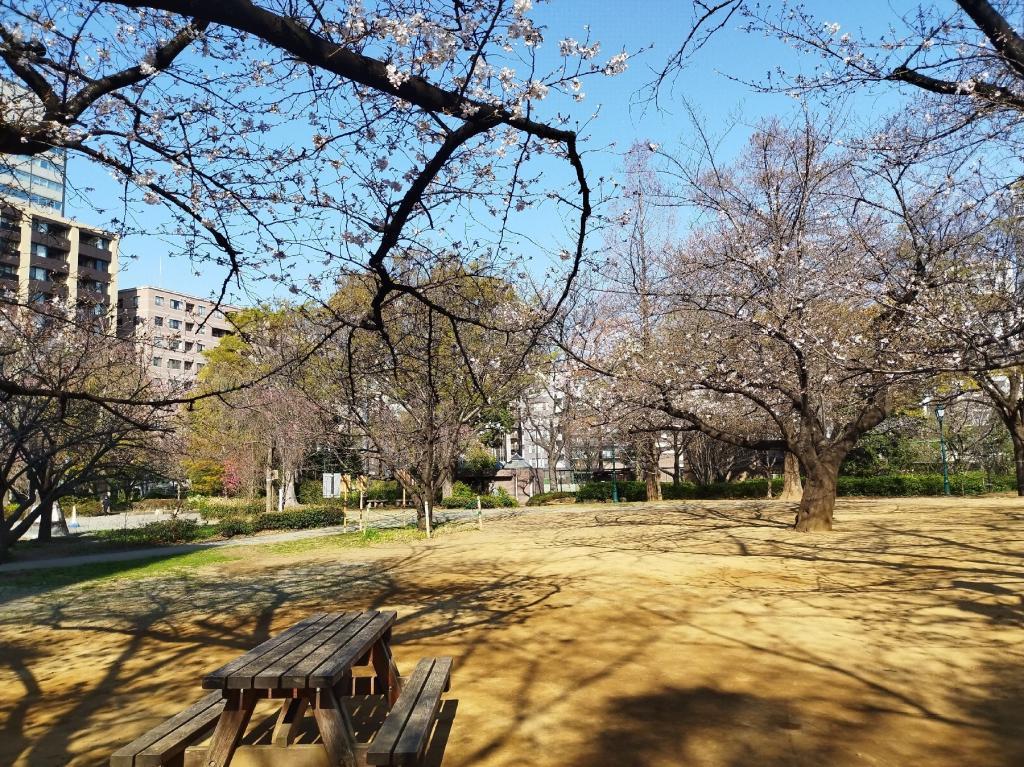  【2026年最新版　中央区の桜情報】 今週末（3/28, 3/29）が桜の見頃です。　
「桜の見所」の最新の景色＆情報と「おすすめお花見コース」をご紹介します！