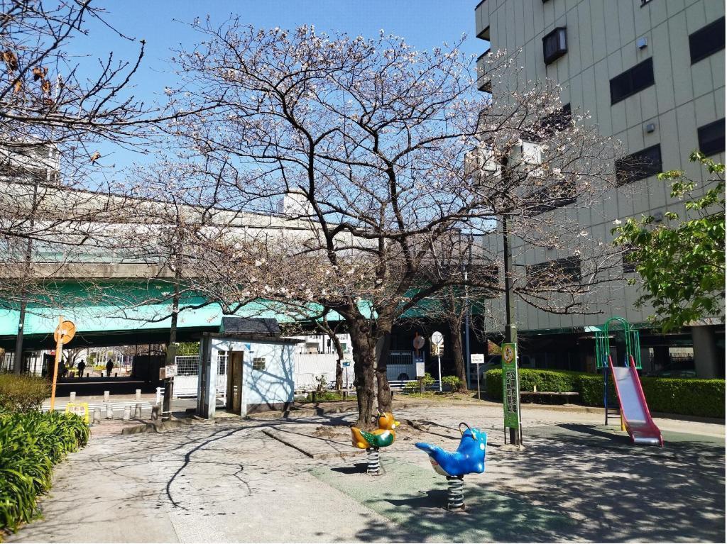  【2026年最新版　中央区の桜情報】 今週末（3/28, 3/29）が桜の見頃です。　
「桜の見所」の最新の景色＆情報と「おすすめお花見コース」をご紹介します！