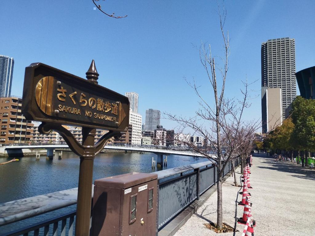  【2026年最新版　中央区の桜情報】 今週末（3/28, 3/29）が桜の見頃です。　
「桜の見所」の最新の景色＆情報と「おすすめお花見コース」をご紹介します！