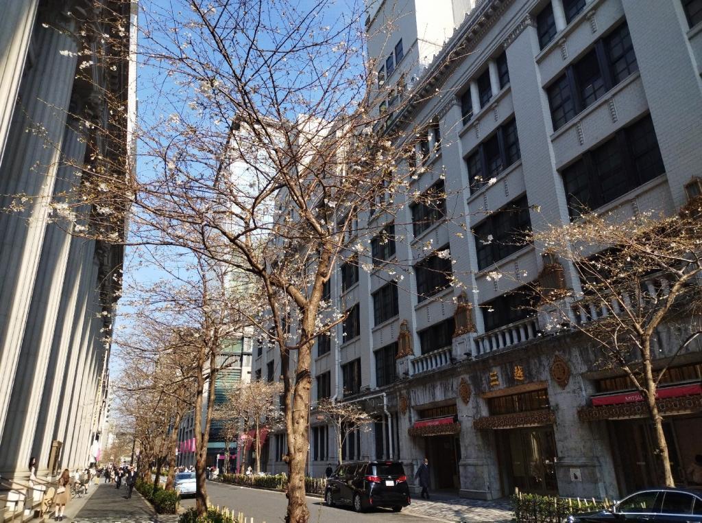  【2026年最新版　中央区の桜情報】 今週末（3/28, 3/29）が桜の見頃です。　
「桜の見所」の最新の景色＆情報と「おすすめお花見コース」をご紹介します！