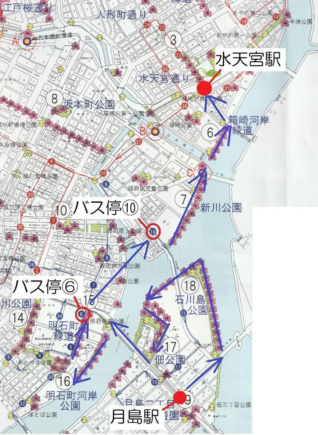  【2026年最新版　中央区の桜情報】 今週末（3/28, 3/29）が桜の見頃です。　
「桜の見所」の最新の景色＆情報と「おすすめお花見コース」をご紹介します！