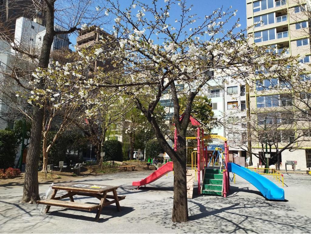  【2026年最新版　中央区の桜情報】 今週末（3/28, 3/29）が桜の見頃です。　
「桜の見所」の最新の景色＆情報と「おすすめお花見コース」をご紹介します！