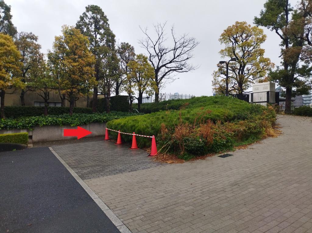  【2026年最新版　中央区の桜情報】 今週末（3/28, 3/29）が桜の見頃です。　
「桜の見所」の最新の景色＆情報と「おすすめお花見コース」をご紹介します！