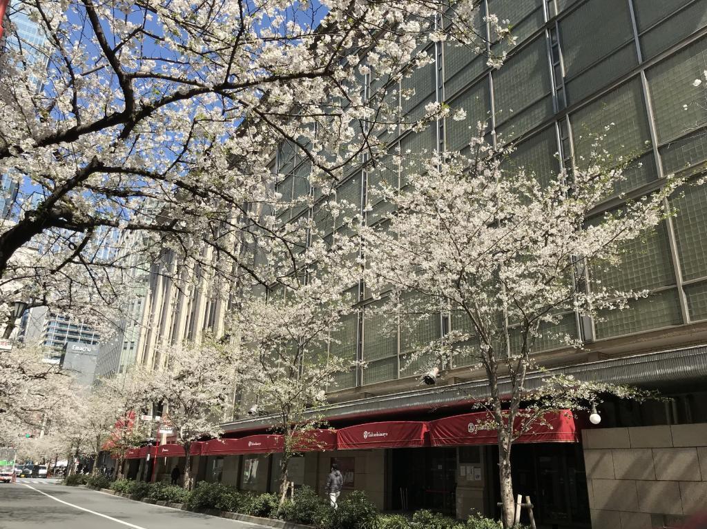  中央区 春の恒例イベント！　
「SAKURA FES NIHONBASHI 2026」＆「Meet with Flowers in TOKYO YNK 2026」開催中（3/18～4/5）　
「日八会 さくら祭り」開催（4/3～4/5）