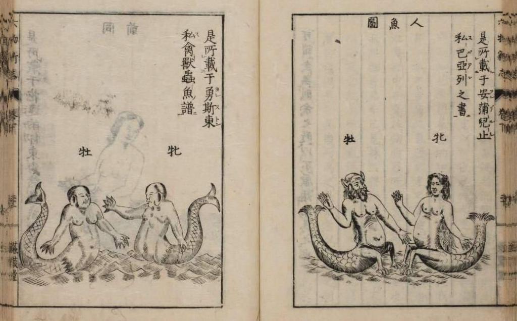 江戸時代学問の中での人魚の位置づけ 人形町？人魚町？