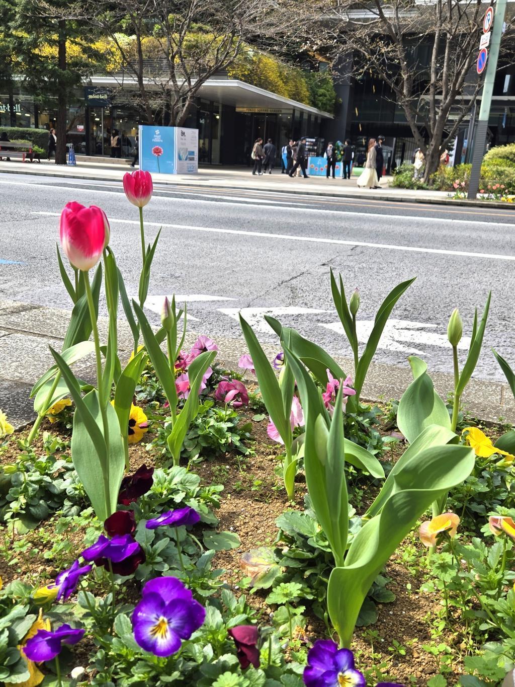  Meet With Flowers in TOKYO YNK