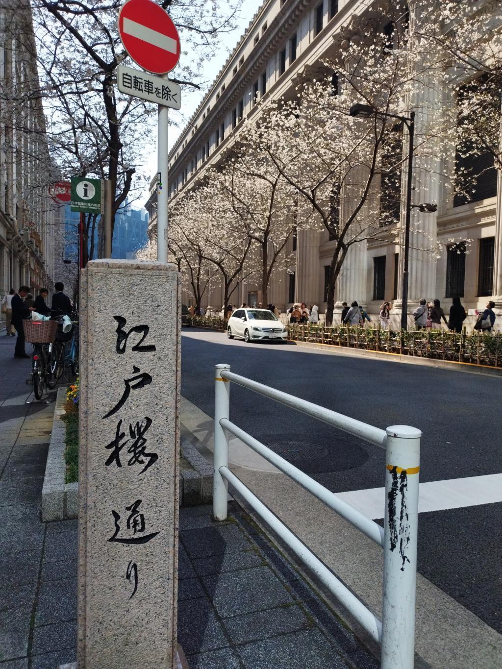  4月5日(日)《春の名橋「日本橋」まつり》開催　～　イベントと併せ、日本橋でお花見も如何でしょうか