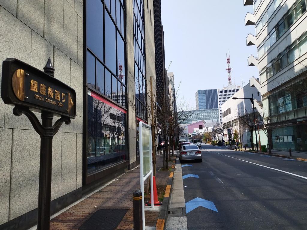  【2026年最新版　中央区の桜情報（その2）】　先週末に桜を見逃した方必見、これから桜が見頃となる場所をご紹介します！（中央区全エリアの「桜の見所」の最新の景色＆情報付）