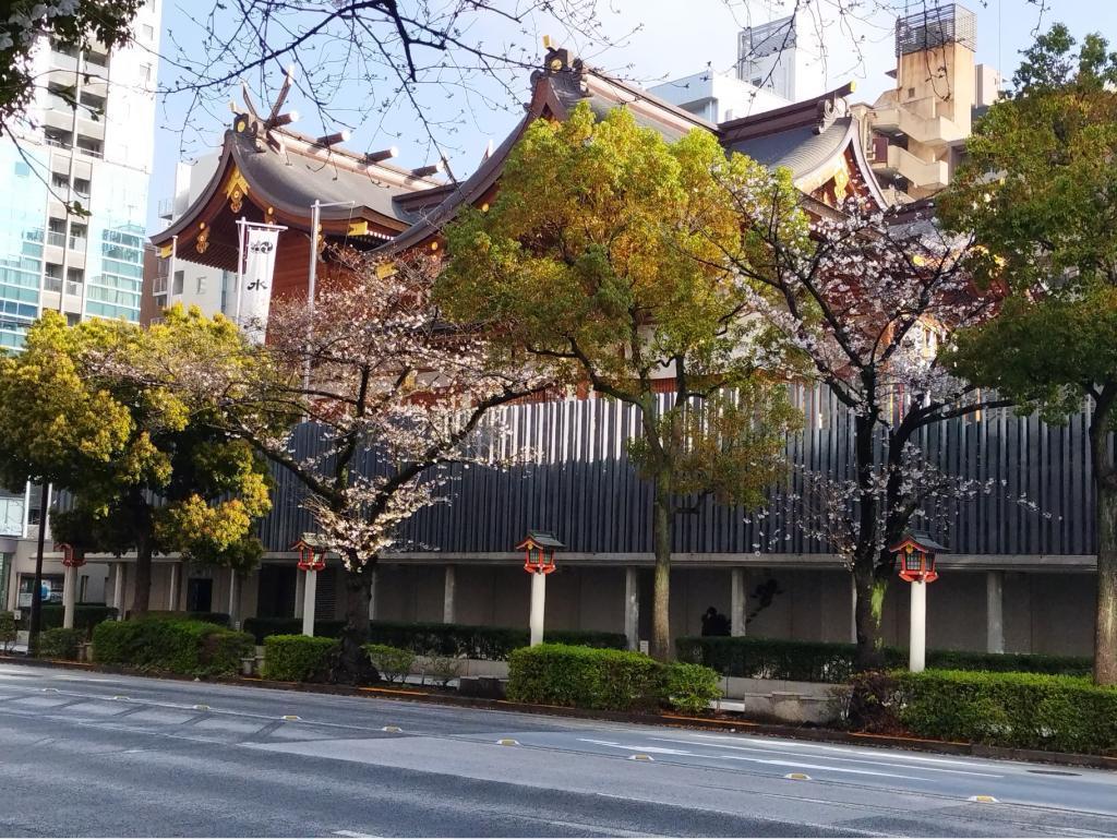  【2026年最新版　中央区の桜情報（その2）】　先週末に桜を見逃した方必見、これから桜が見頃となる場所をご紹介します！（中央区全エリアの「桜の見所」の最新の景色＆情報付）