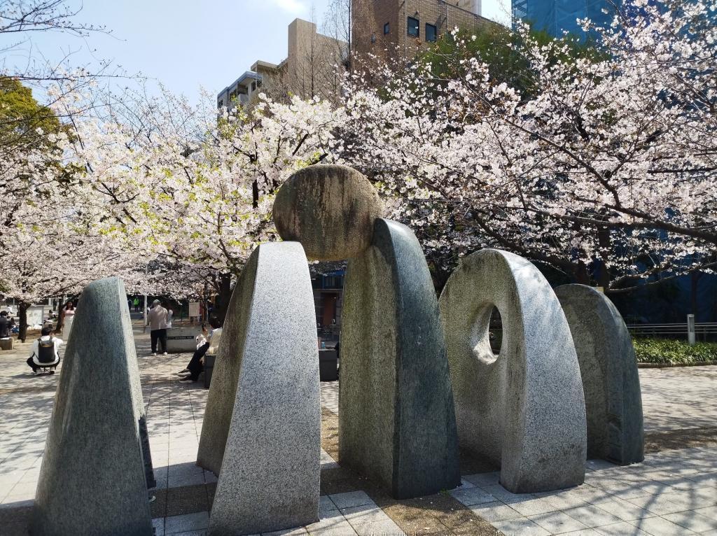  【2026年最新版　中央区の桜情報（その2）】　先週末に桜を見逃した方必見、これから桜が見頃となる場所をご紹介します！（中央区全エリアの「桜の見所」の最新の景色＆情報付）