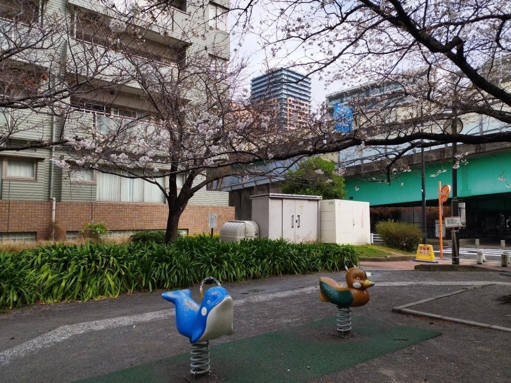  【2026年最新版　中央区の桜情報（その2）】　先週末に桜を見逃した方必見、これから桜が見頃となる場所をご紹介します！（中央区全エリアの「桜の見所」の最新の景色＆情報付）