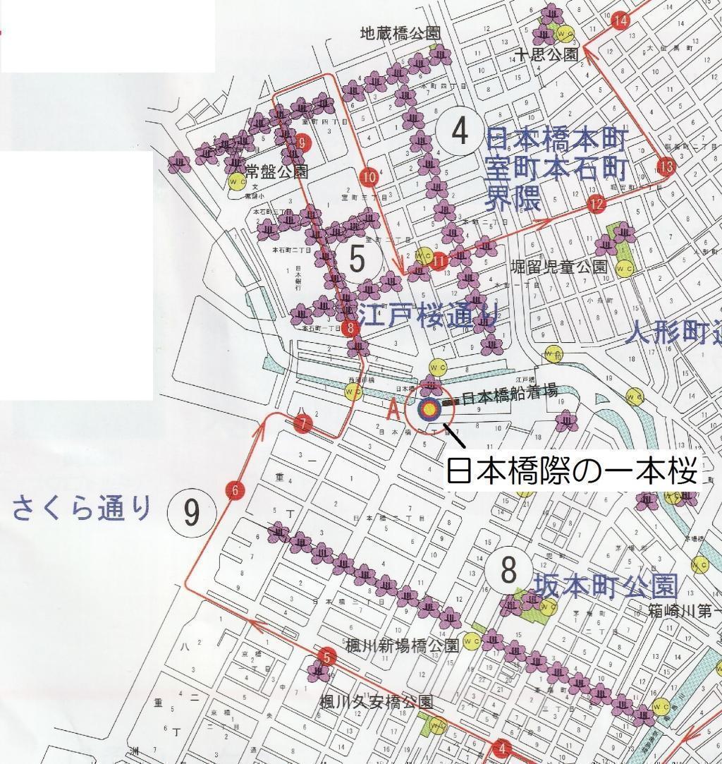  【2026年最新版　中央区の桜情報（その2）】　先週末に桜を見逃した方必見、これから桜が見頃となる場所をご紹介します！（中央区全エリアの「桜の見所」の最新の景色＆情報付）