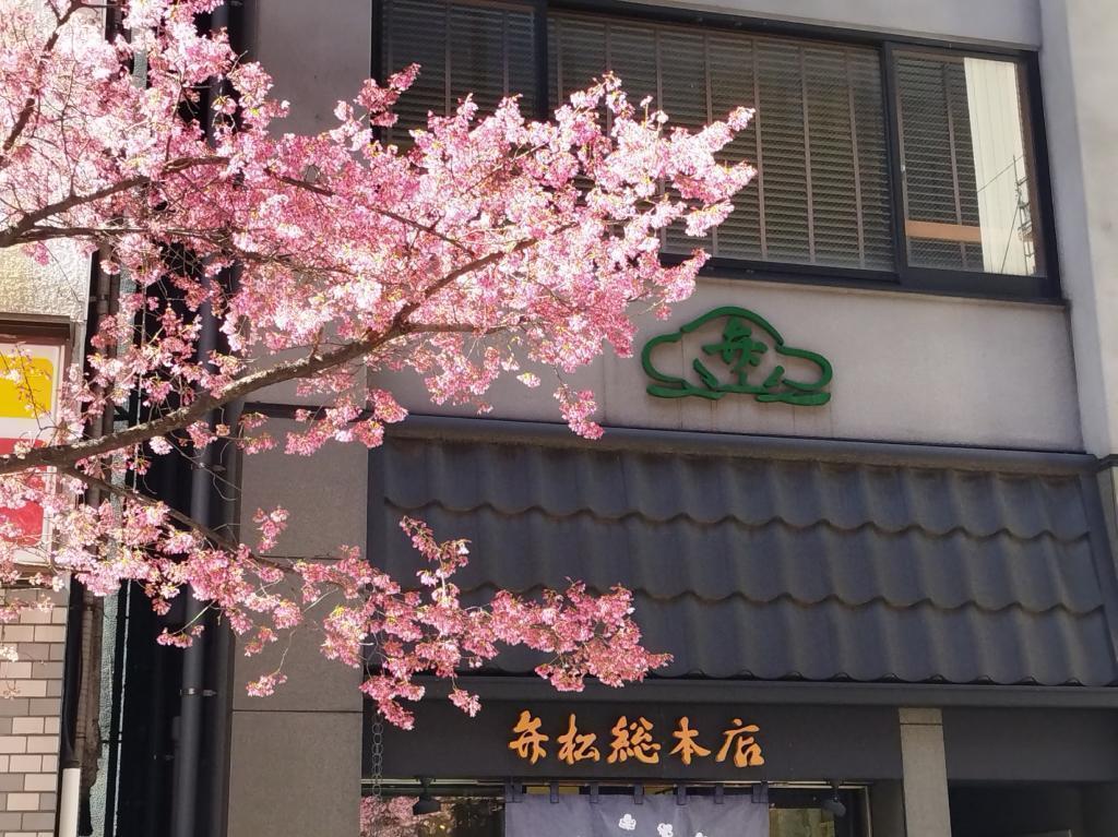  【2026年最新版　中央区の桜情報（その2）】　先週末に桜を見逃した方必見、これから桜が見頃となる場所をご紹介します！（中央区全エリアの「桜の見所」の最新の景色＆情報付）