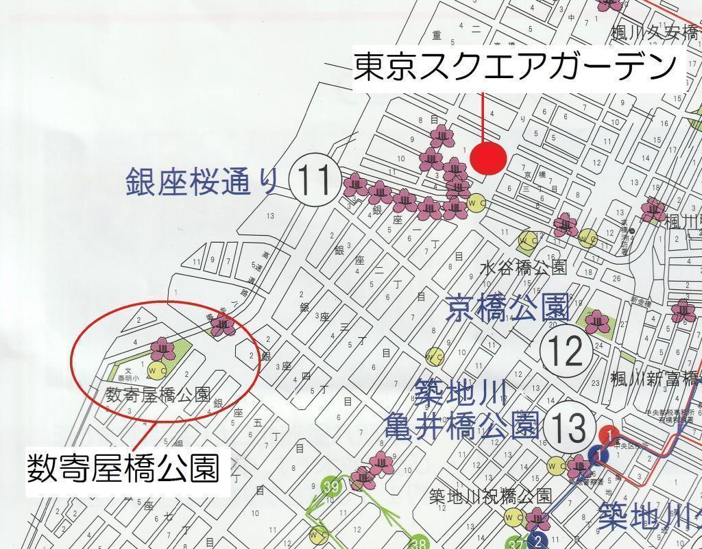  【2026年最新版　中央区の桜情報（その2）】　先週末に桜を見逃した方必見、これから桜が見頃となる場所をご紹介します！（中央区全エリアの「桜の見所」の最新の景色＆情報付）