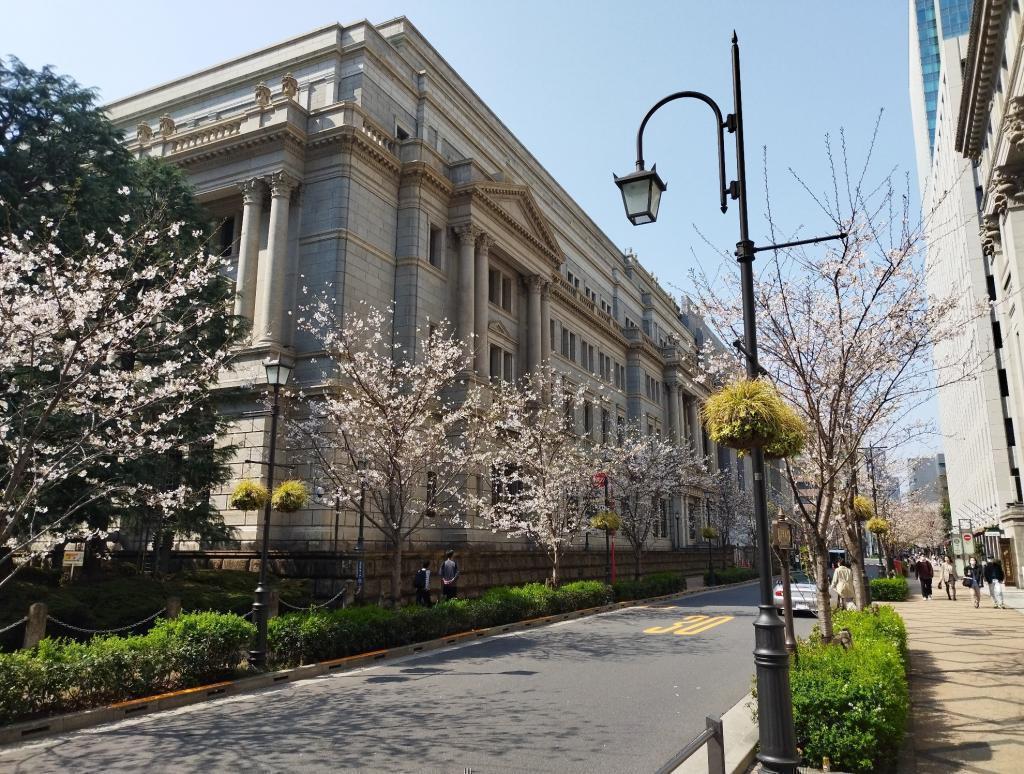  【2026年最新版　中央区の桜情報（その2）】　先週末に桜を見逃した方必見、これから桜が見頃となる場所をご紹介します！（中央区全エリアの「桜の見所」の最新の景色＆情報付）