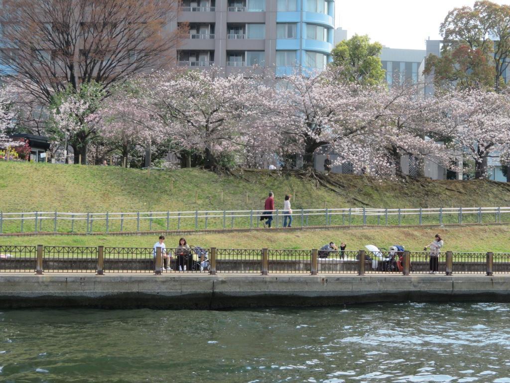  水上バスで行く♪春のうららの 隅田川♪